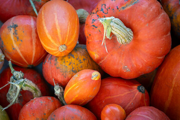 red and yellow pumpkins