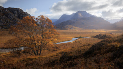 Autumn in Fisherfield Forest with Beinn Dearg Beag & Mor in the distance, Wester Ross Mountains, Scottish Highlands