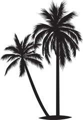Obraz premium palm tree silhouette