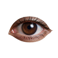 Extreme macro of a Native American's soulful brown eye, intricate iris patterns, detailed lashes, on transparent background, soft studio light. Concept of wisdom and introspection