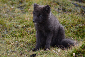 In Islanda esiste la 