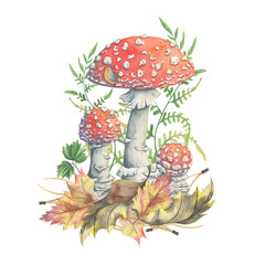 Toadstools with autumn foliage, fern and needles. Hand-painted illustration of mushrooms. Watercolor composition with picturesque amanitas. Perfect for seasonal decor