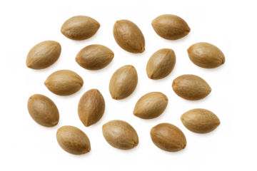 Hemp seeds scattered, natural herbal food ingredient