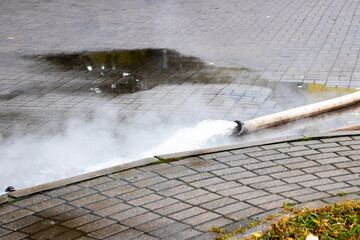 A garden hose is actively spraying water onto a brick sidewalk surface