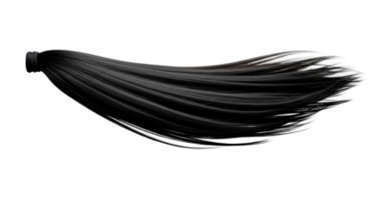 A single, dark, glossy, sleek ponytail swinging dynamically with motion blur, isolated on a clean, transparent studio background. Concept of dynamic motion and fluidity
