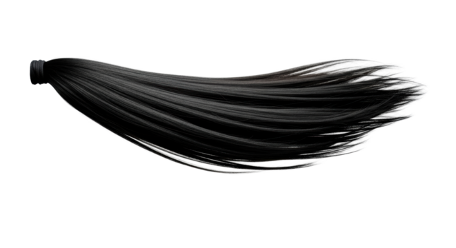 A single, dark, glossy, sleek ponytail swinging dynamically with motion blur, isolated on a clean, transparent studio background. Concept of dynamic motion and fluidity