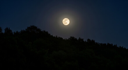 Fototapeta premium Bright full moon shines through dark night sky over silhouetted forest trees