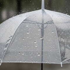 Raindrops cling to a clear, transparent umbrella, creating a beautiful texture against a blurred, gray background