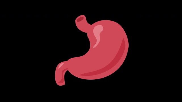 Stomach icon, Stomach ache, healthcare symbol. Anatomy, healthy digestion sign