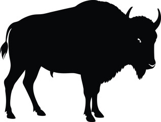 Black Silhouette of a Majestic American Bison Standing Tall