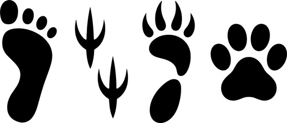 Human bird bear and dog paw prints vectors for nature tracking wildlife education and tattoo designs