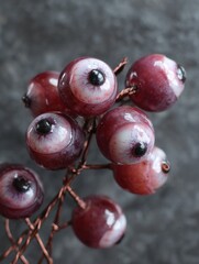 Halloween currant berries