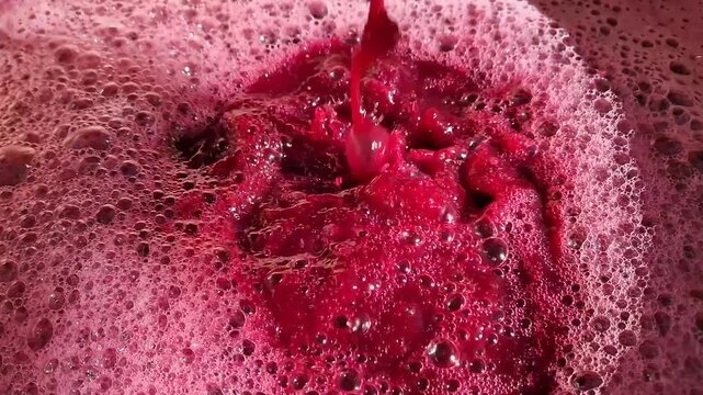 Close-up pouring dark, crimson grape must, creating a deep splash in a vessel. Vibrant, foamy layer of magenta bubbles, indicating active fermentation of winemaking process