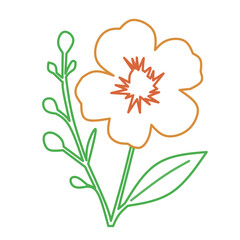Outline Orange Flower with Bud Icon Vector