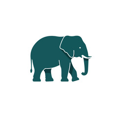 Fototapeta premium Teal elephant silhouette walking to the right with a white outline detail