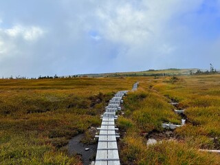 Scenic Autumn Wetlands and Wooden Boardwalk at Naeba Mountain, Echigo Yuzawa, Niigata, Japan with Pond Reflections and Fall Colors