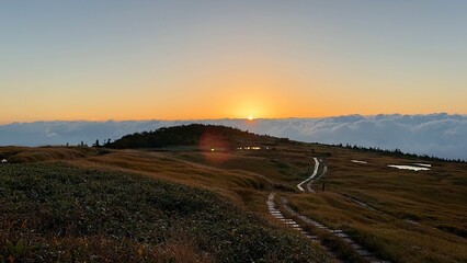 Scenic Autumn Wetlands and Wooden Boardwalk at Naeba Mountain, Echigo Yuzawa, Niigata, Japan with Pond Reflections and Fall Colors