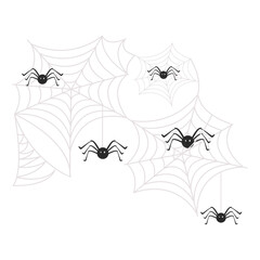 Spider Web and spiders Halloween Illustration
