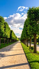 Obraz premium Sunlit path lined with neatly trimmed trees, leading to a distant horizon under a partly cloudy sky