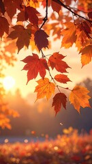 Warm Autumn Leaves at Sunrise with Bokeh Background and Golden Sun in a Dreamy Landscape Shot with Soft Lighting