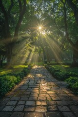 Sunlight streams through trees, illuminating a serene stone pathway in a park.