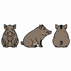 Cute Wild Boar Hogs Illustrations Set Isolated on White Background
