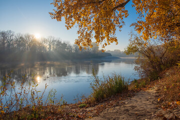 autumn in the forest with river and fog