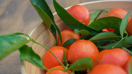 Organic fresh mandarins with green leaves in a wooden bowl, close-up shot, natural light. Organic citrus fruit harvest from Corsica