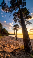 Obraz premium Sunset illuminates a sandy lakeshore, silhouetted by two tall pines