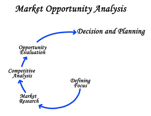 Process of Market Opportunity Analysis