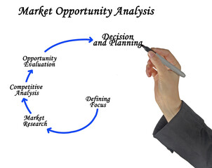 Process of Market Opportunity Analysis