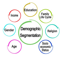 Demographic Segmentation