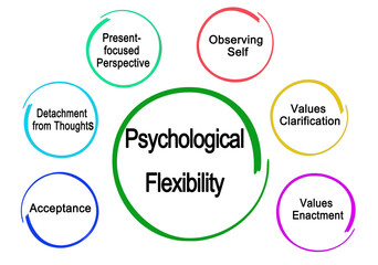 Six Drivers of Psychological Flexibility