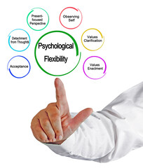 Six Drivers of Psychological Flexibility