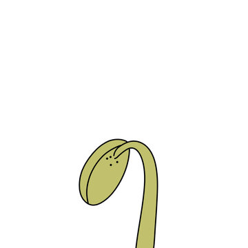 Shoots white background