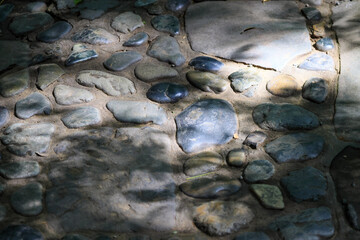 都心散歩　小石川後楽園　彼岸花の頃