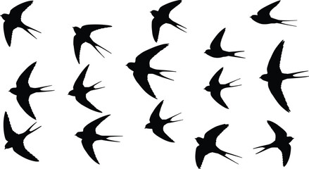 Silhouette of flying birds flock vector illustration representing freedom, migration, wildlife, nature, sky, peaceful movement, seasonal patterns, and natural beauty.