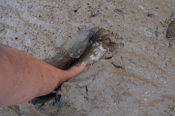 A human leg stepping into wet muddy ground, showing deep footprint in soft soil texture. Concept of nature, mud, dirt, environment, agriculture, and outdoor adventure.
