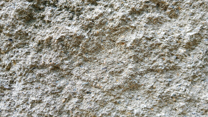 Rough concrete wall texture seamless background