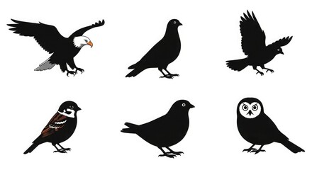 Obraz premium Eagle pigeon owl sparrow bird silhouette vector illustration animal wildlife nature design graphic art drawing
