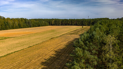 Obraz premium Scenic Countryside with Golden Fields and Distant Wind Turbine