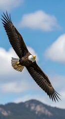 Obraz premium Majestic Bald Eagle Soaring High.