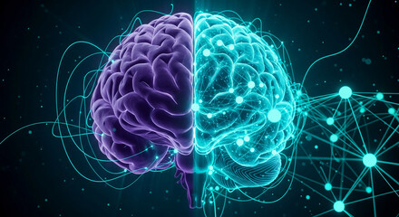 Digital illustration of a human brain, split showing internal neural network, purple and cyan color scheme, symbolizing intelligence, consciousness, and interconnectedness