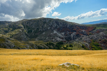 Mountain ridge with yellow field in Durmitor