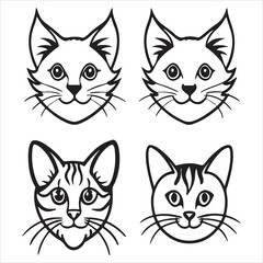 Fototapeta premium A Unique and Tailless Manx Cat, an Anura Breed from the Isle of Man with a Rabbit Like Gait and Short Back Body, an Affectionate Companion