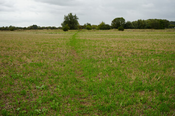 Rural footpath winding through a green and dry field with distant trees under a cloudy sky in Leicestershire, England.