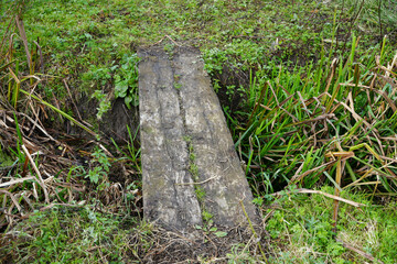 Obraz premium Rustic wooden planks forming a simple bridge over a narrow muddy ditch in a lush green rural field in Leicestershire, England