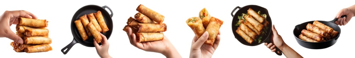 Set of hand holding spring egg rolls, crispy fried fry wrapped pastry snack with vegetable meat filling, on skillet pan, stack pile bitten broken, transparent cutout PNG. Many different style. Mockup 