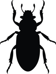 Beetle Insect  Silhouette 