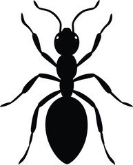 Ant Silhouette Illustration on White Background